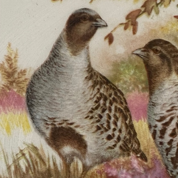 Vintage Lord Nelson Pottery Quails ceramic plate - Picture 10 of 15